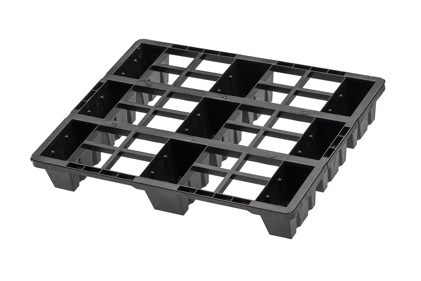 Przycięty obraz FIDUS light 806 9F